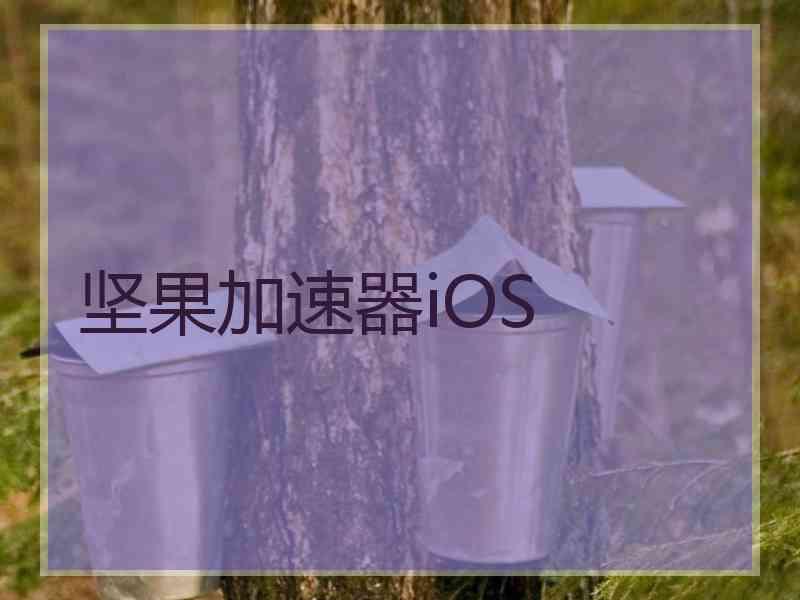 坚果加速器iOS