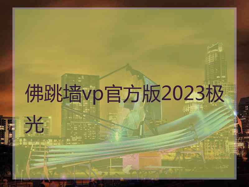 佛跳墙vp官方版2023极光