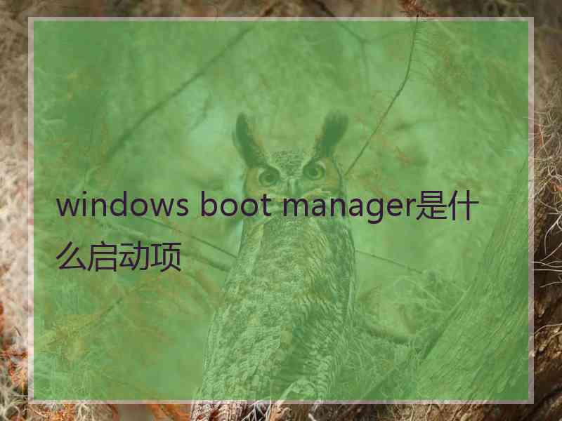 windows boot manager是什么启动项