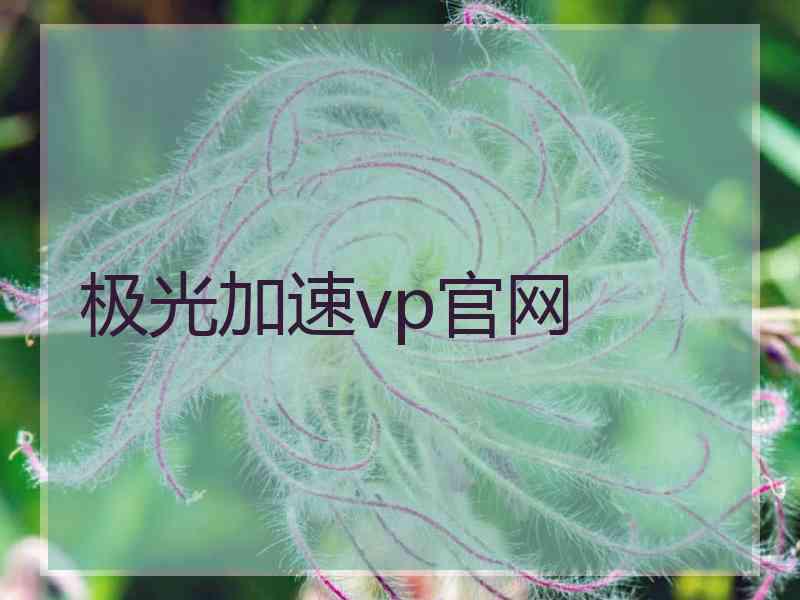 极光加速vp官网