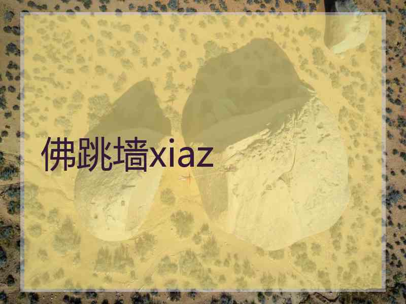 佛跳墙xiaz