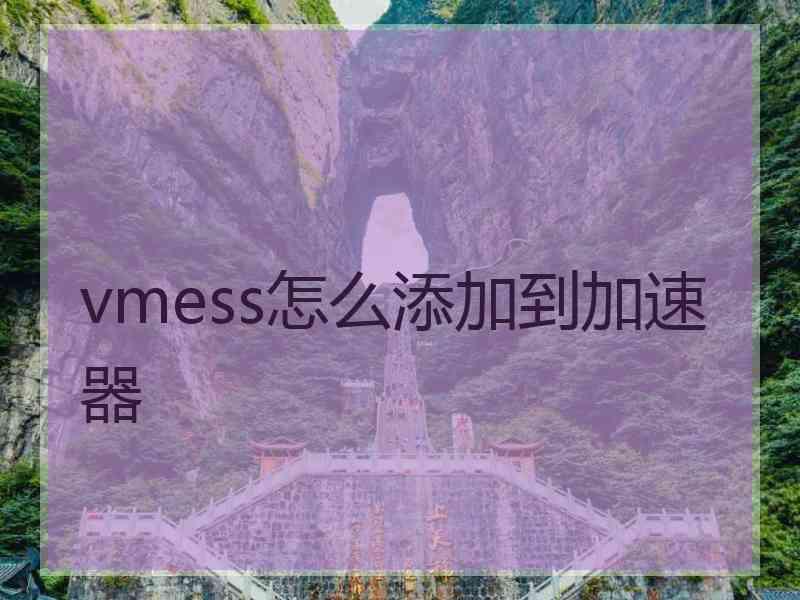 vmess怎么添加到加速器