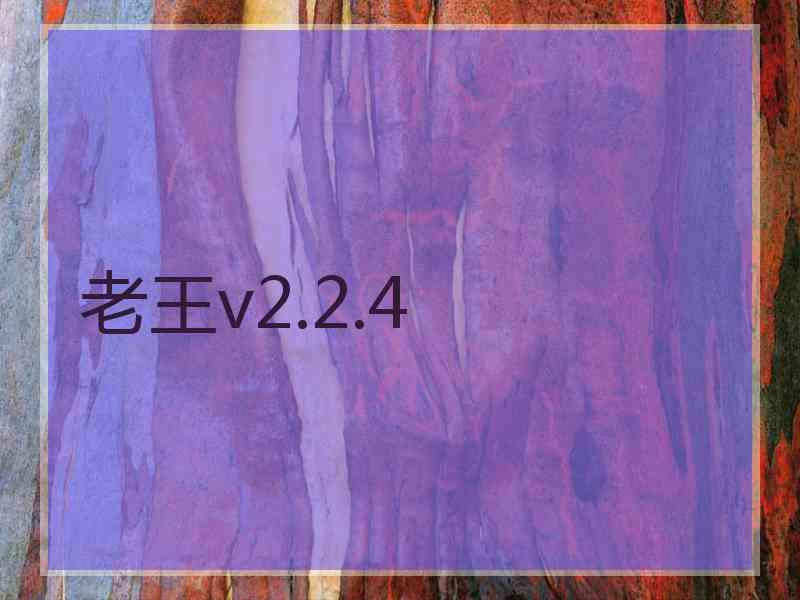 老王v2.2.4