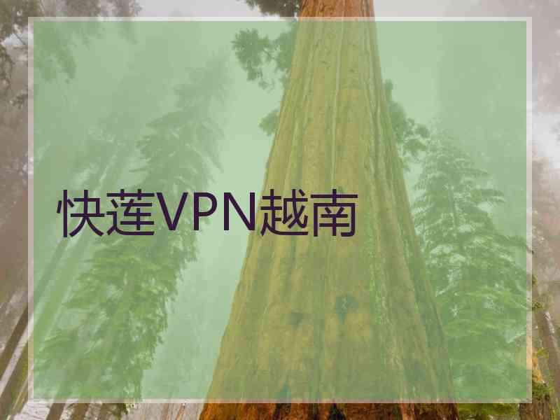 快莲VPN越南