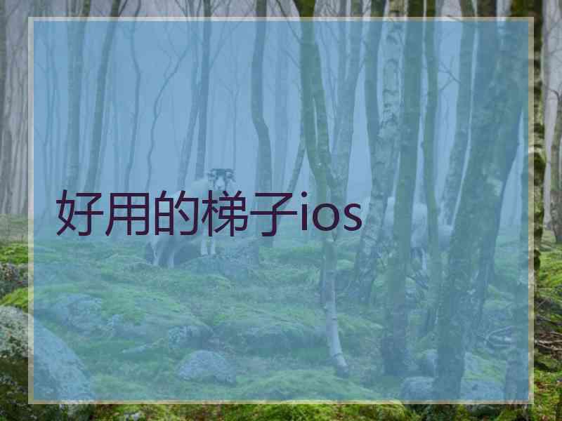 好用的梯子ios