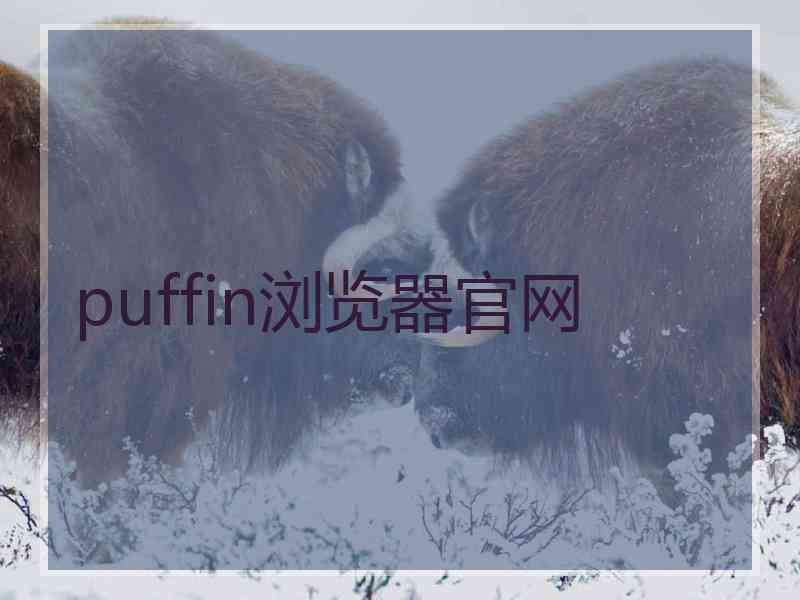 puffin浏览器官网