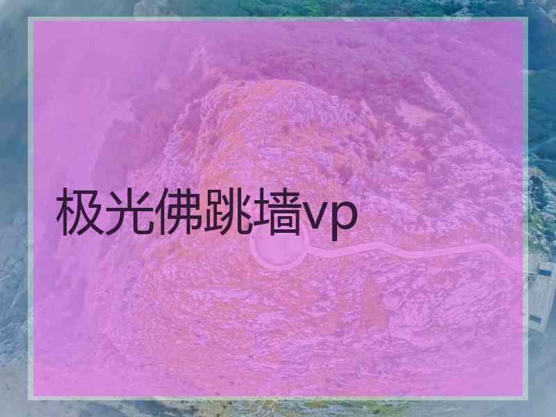 极光佛跳墙vp