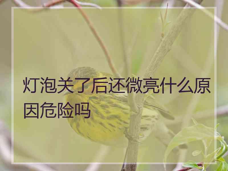 灯泡关了后还微亮什么原因危险吗