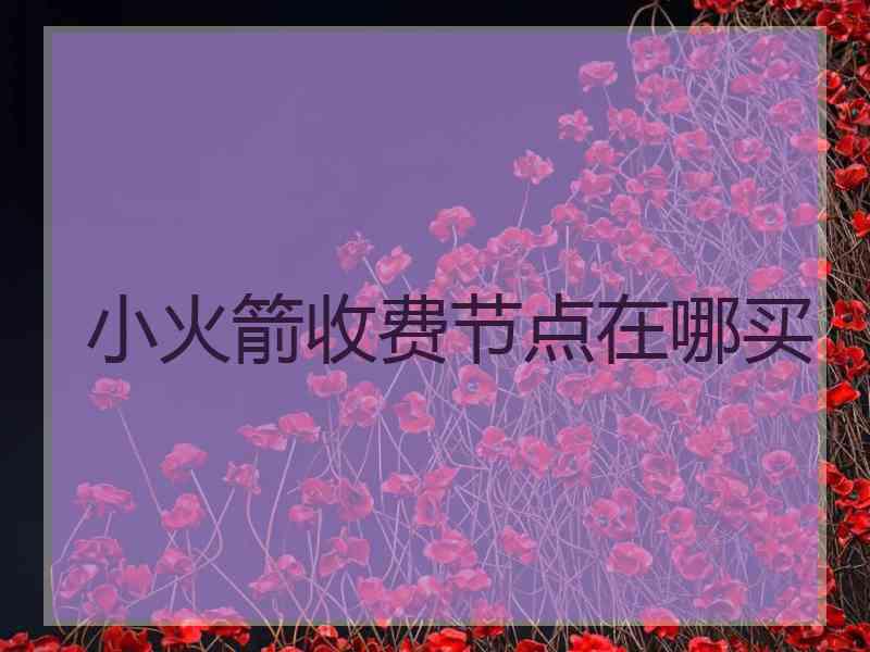 小火箭收费节点在哪买