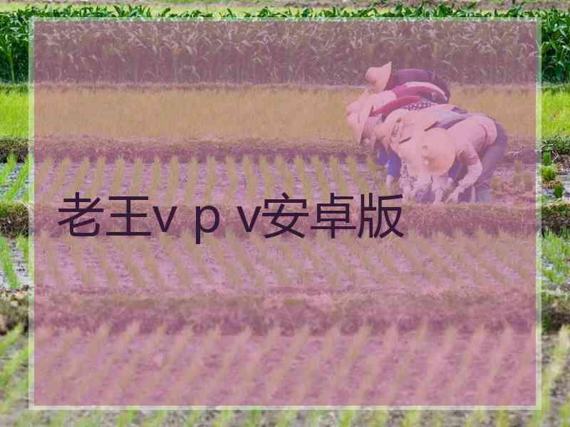 老王v p v安卓版