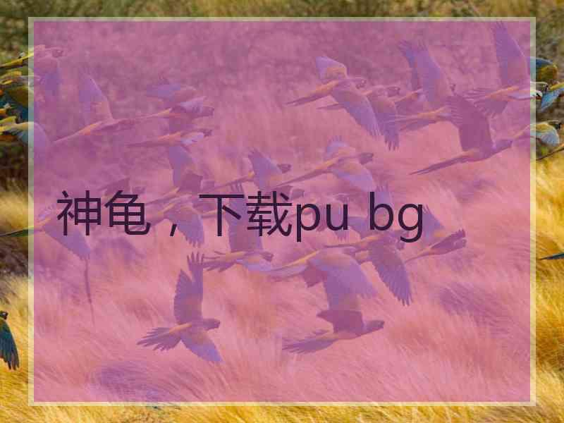 神龟，下载pu bg