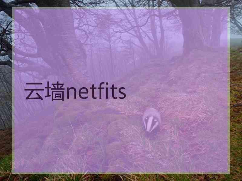 云墙netfits