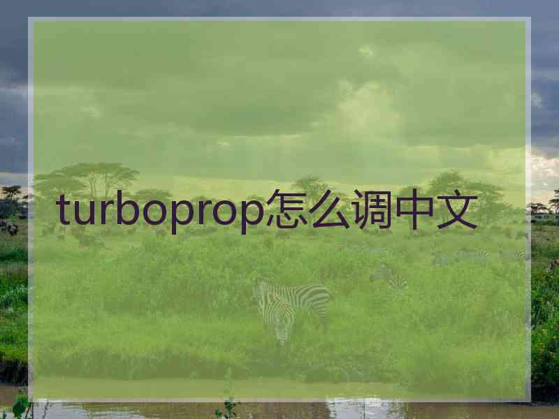 turboprop怎么调中文