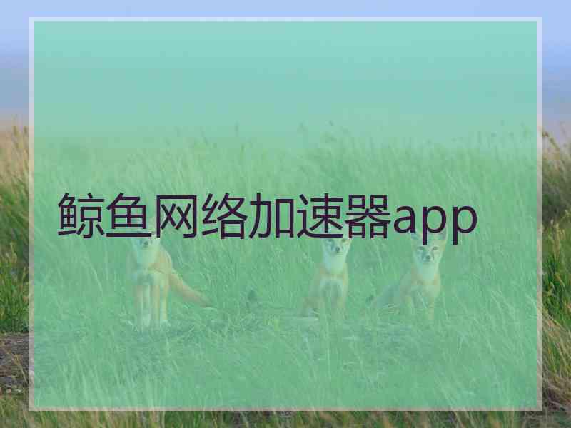 鲸鱼网络加速器app