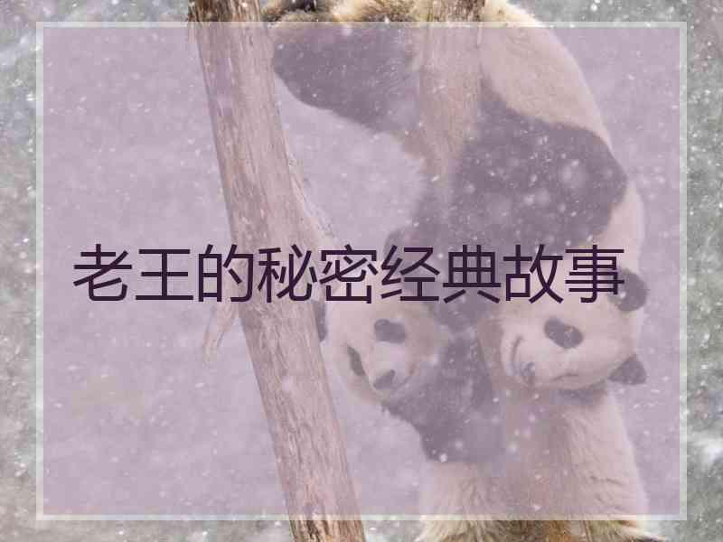 老王的秘密经典故事