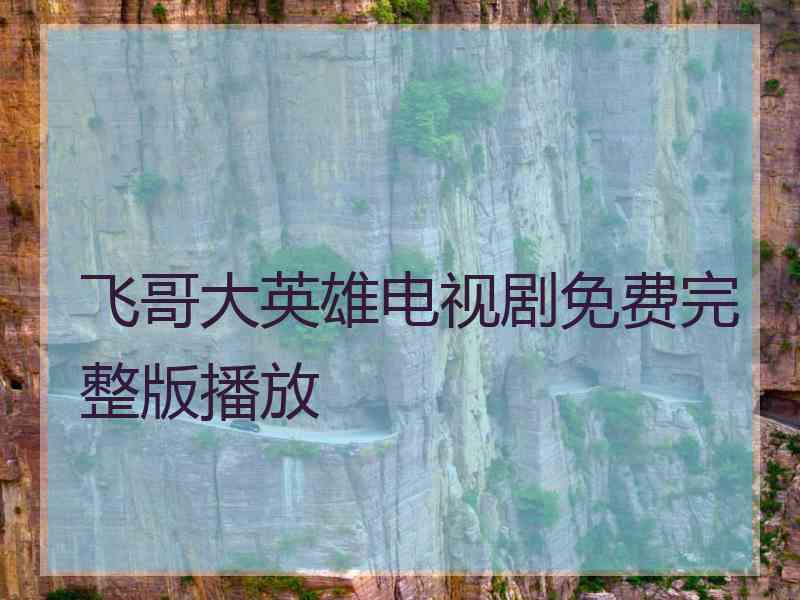 飞哥大英雄电视剧免费完整版播放