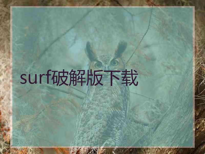 surf破解版下载