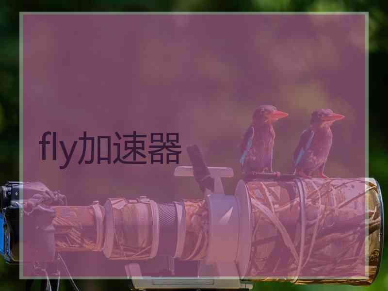 fly加速器