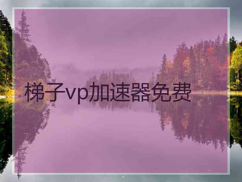 梯子vp加速器免费