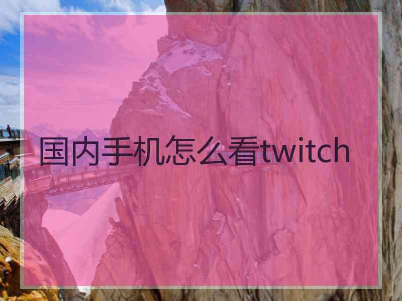 国内手机怎么看twitch