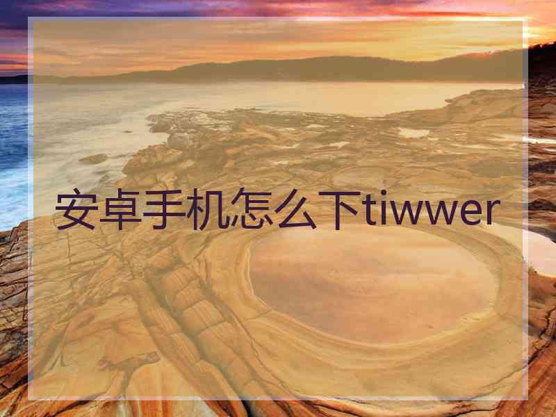 安卓手机怎么下tiwwer