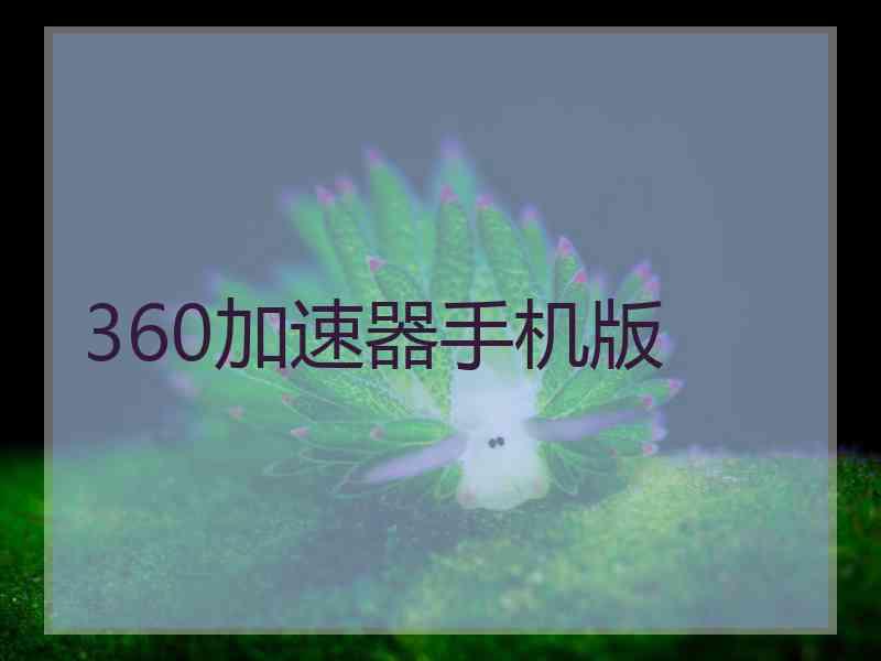 360加速器手机版