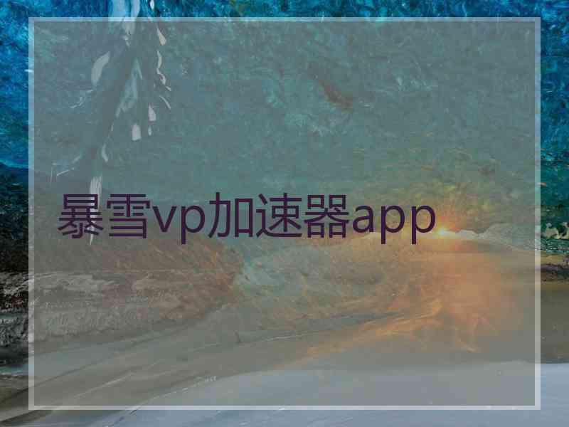 暴雪vp加速器app