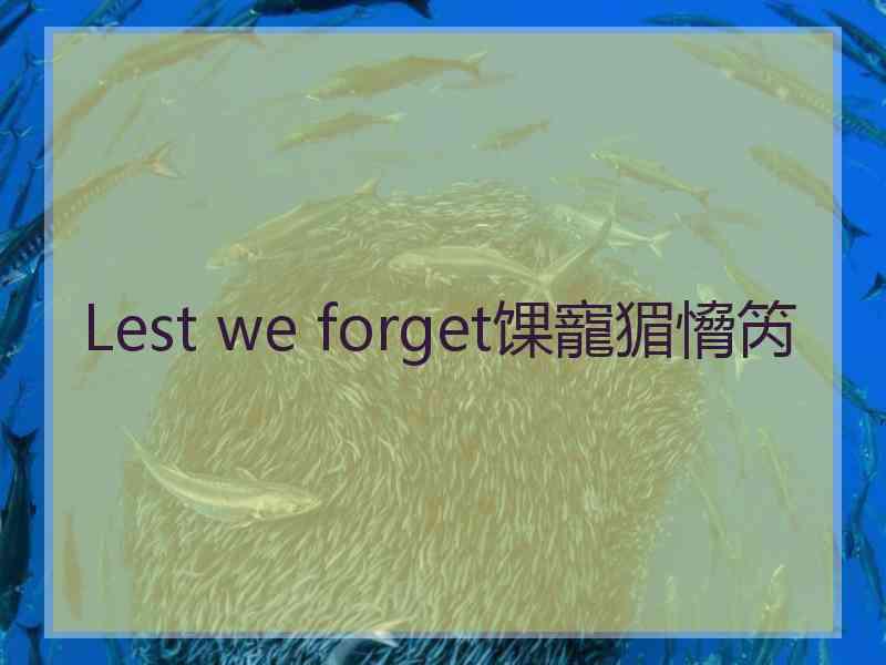 Lest we forget馃寵猸愶笍