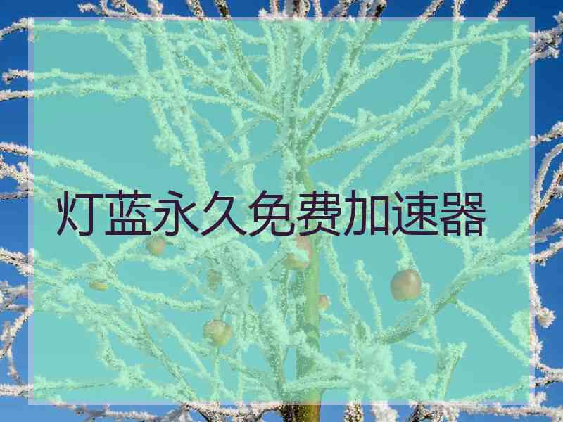 灯蓝永久免费加速器