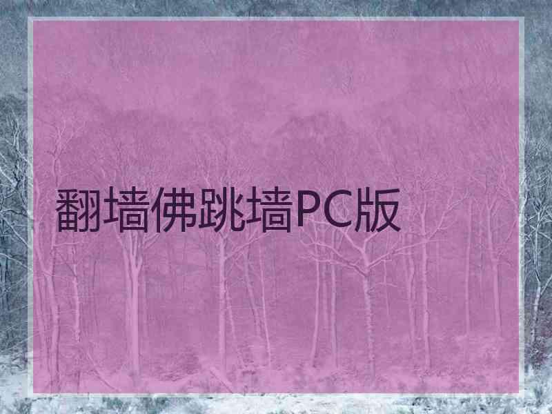 翻墙佛跳墙PC版