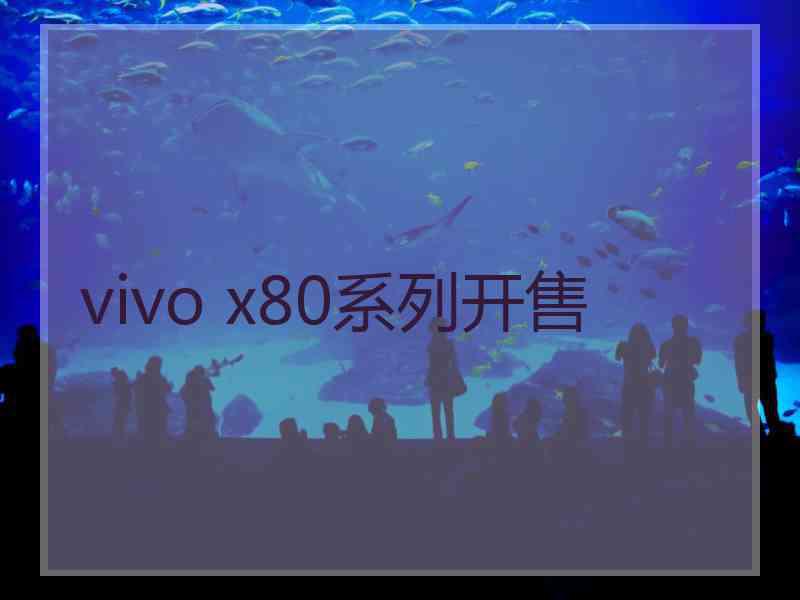 vivo x80系列开售