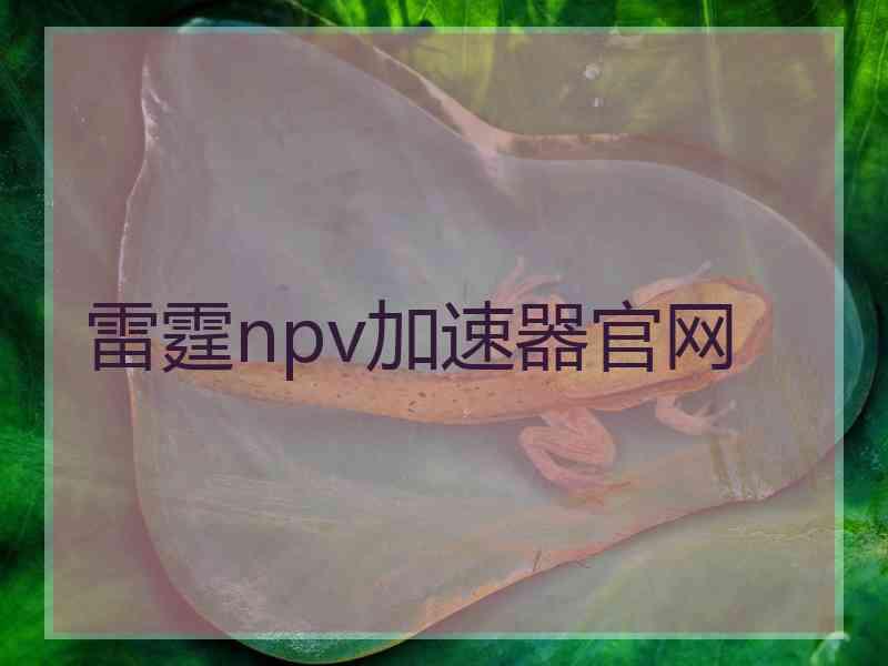 雷霆npv加速器官网