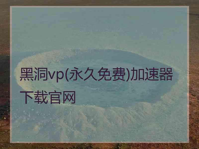 黑洞vp(永久免费)加速器下载官网