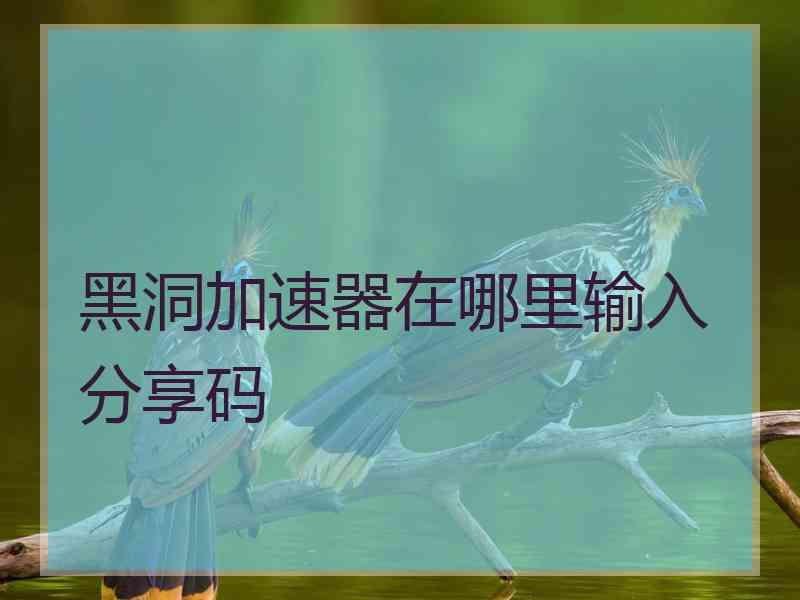 黑洞加速器在哪里输入分享码