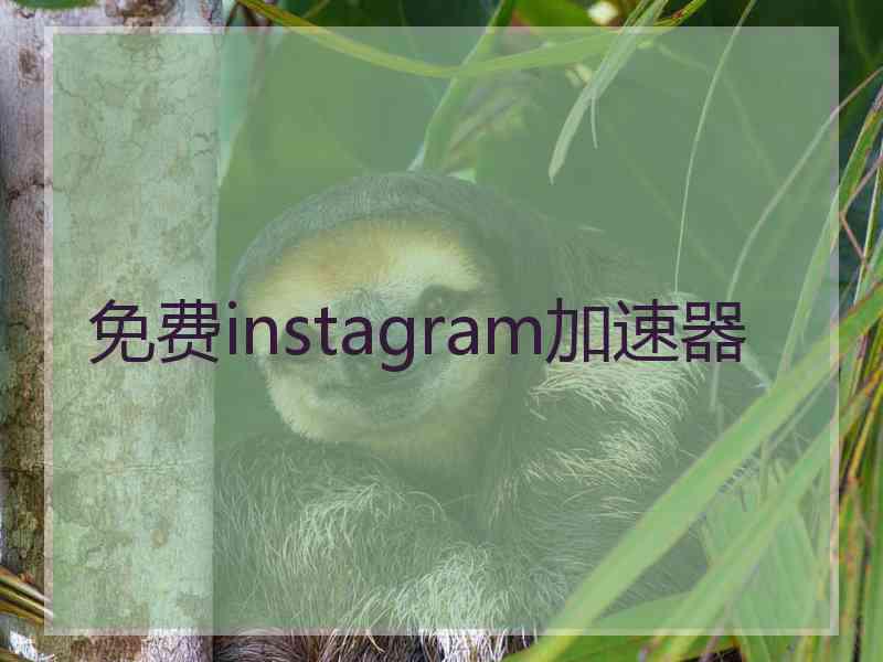 免费instagram加速器