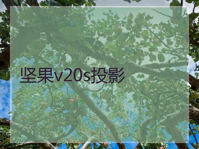 坚果v20s投影