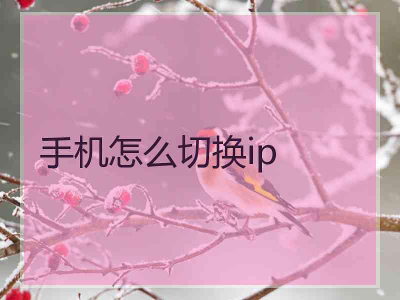 手机怎么切换ip