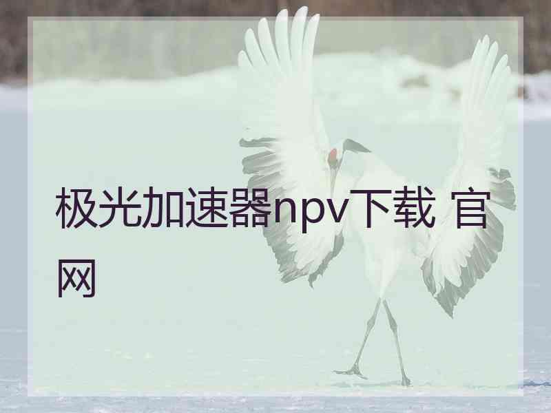 极光加速器npv下载 官网