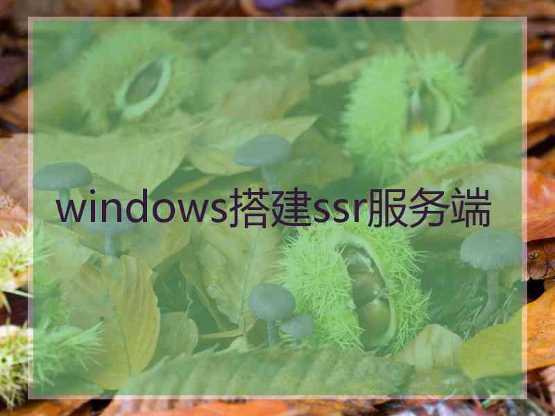 windows搭建ssr服务端