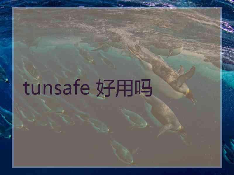 tunsafe 好用吗