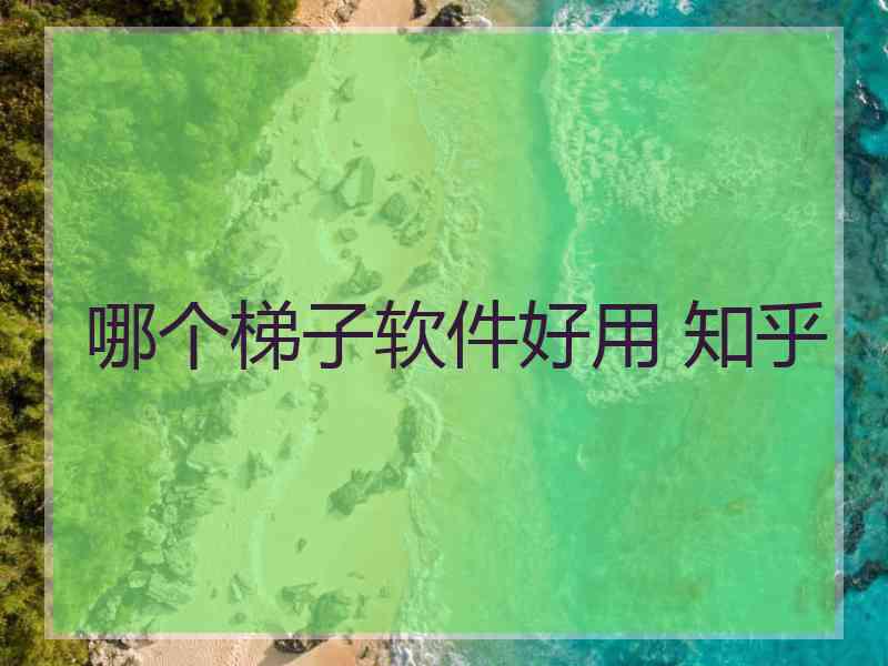 哪个梯子软件好用 知乎