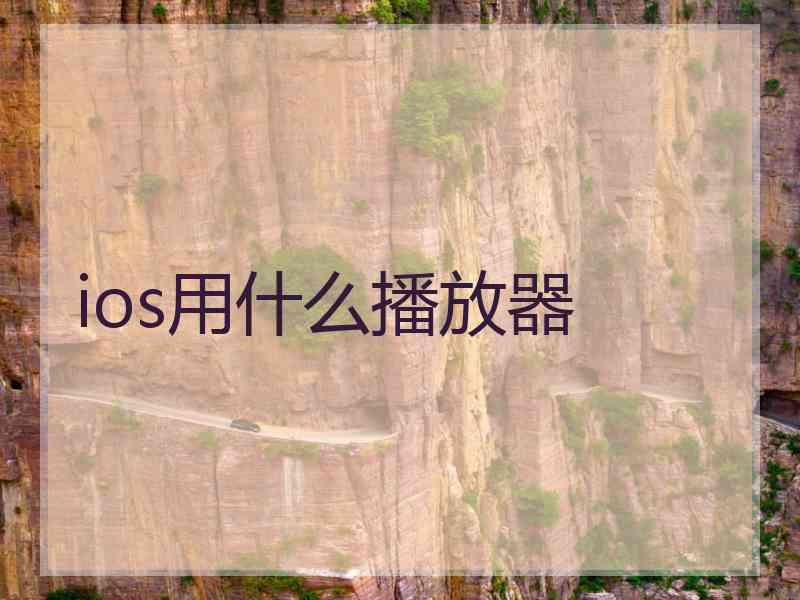 ios用什么播放器