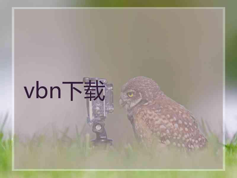 vbn下载