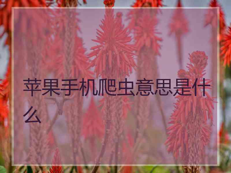 苹果手机爬虫意思是什么