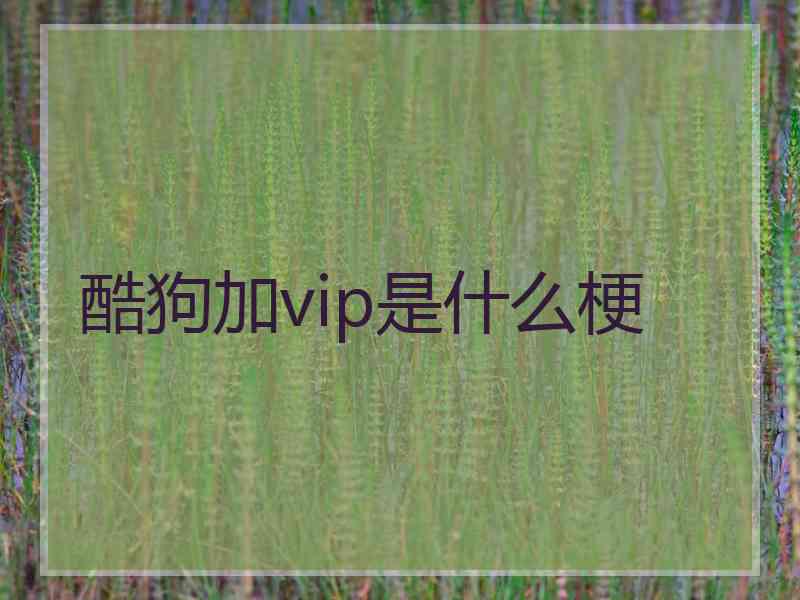 酷狗加vip是什么梗