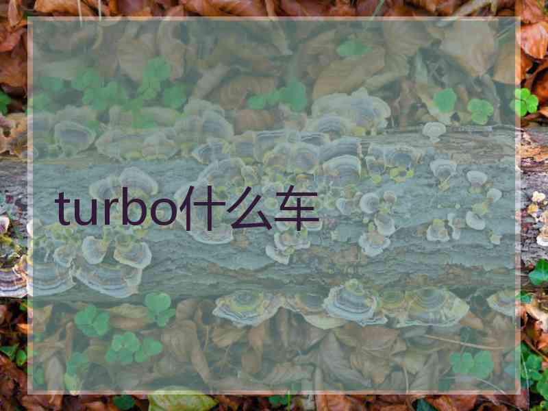 turbo什么车