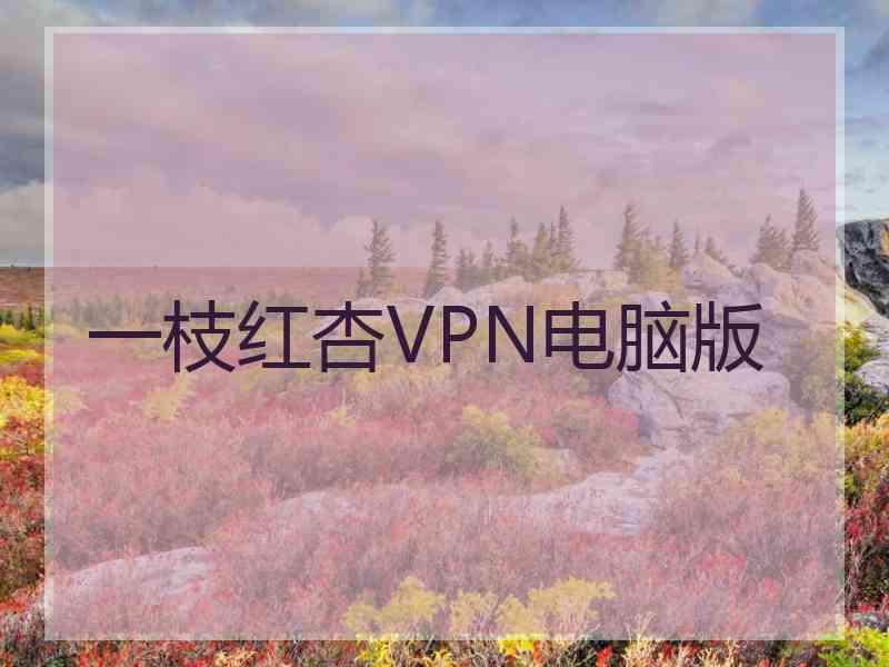 一枝红杏VPN电脑版