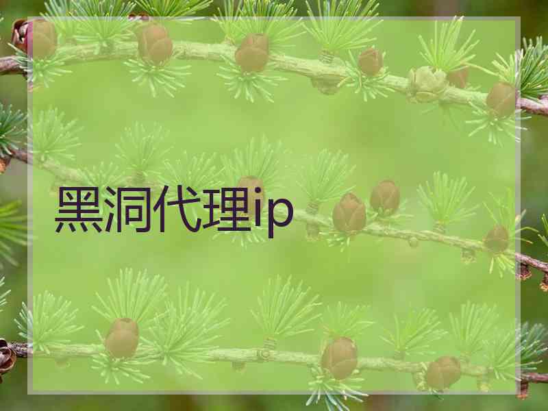 黑洞代理ip