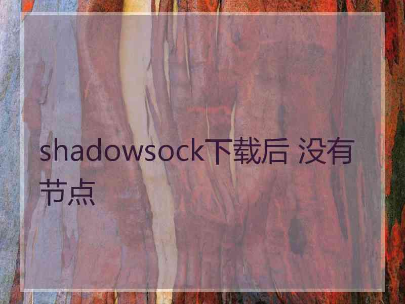 shadowsock下载后 没有节点