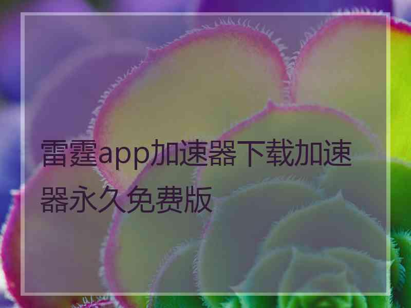 雷霆app加速器下载加速器永久免费版